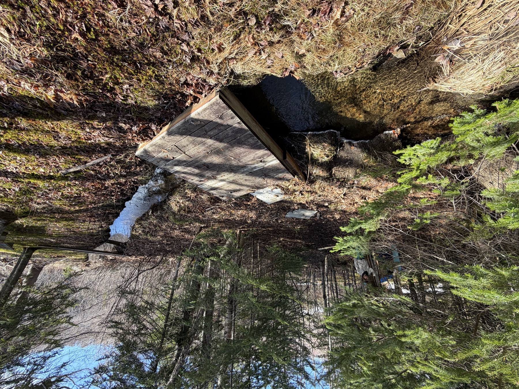 Ruisseau et sentier boisé sur le terrain du chalet
